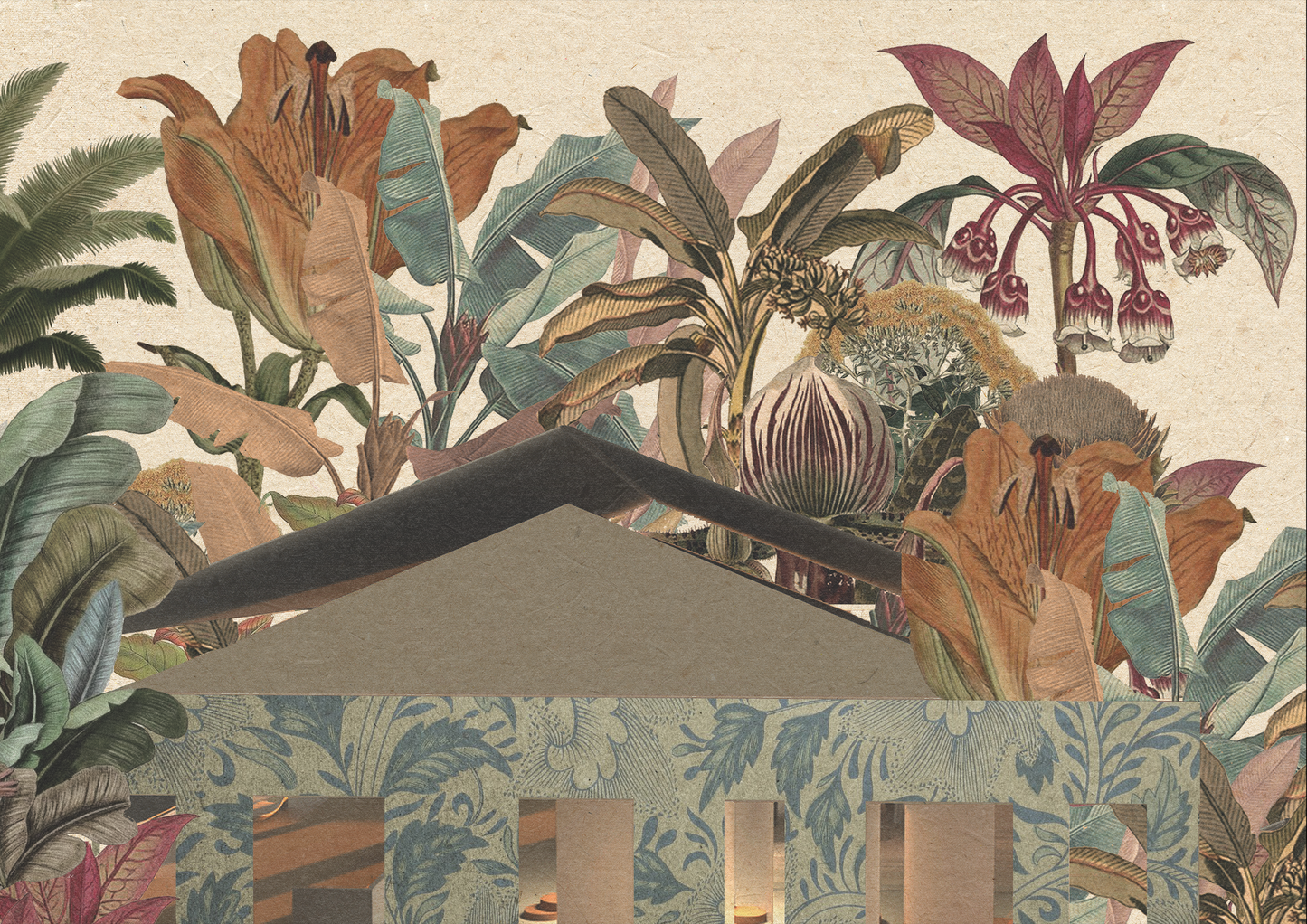 House Of Plants